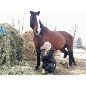 Adorado-Nino-Horse-Rescue-Sanctuary