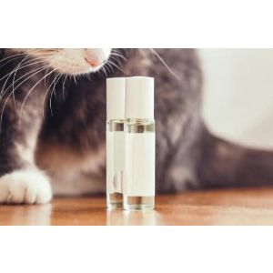 How-to-Use-Essential-Oils-on-Cat