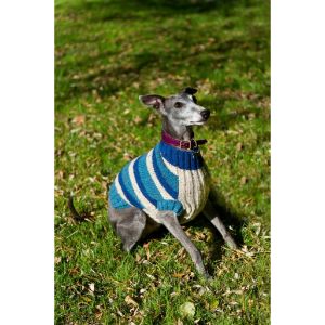 Conclusion-For-Best-Whippet-Breeders-in-Texas