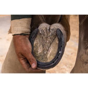Disadvantages-Of-Horseshoes
