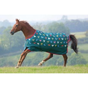 Do-You-Require-A-Horse-Blanket