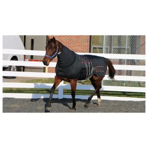 FAQs-About-Horse-Blankets