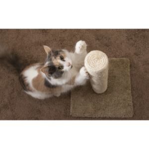 Methods-for-Declawing