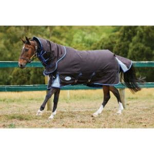 What-Are-The-Different-Types-Of-Horse-Blankets