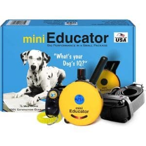 Mini-Educator ET-300 Shock Training Collar