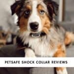 petsafe shock collar reviews - skip