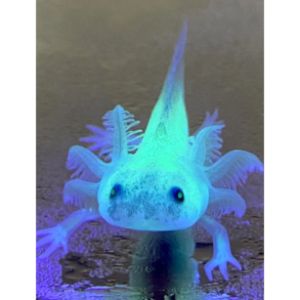 FAQs-About-Glowing-Axolotls