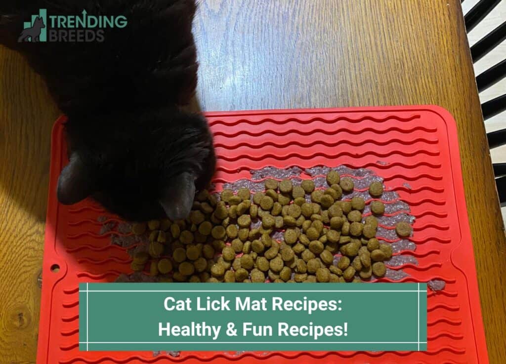 Cat Lick Mat Recipes-Healthy & Fun Recipes-template