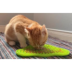 How Should a Lick Mat Be Used