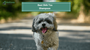 Best Shih Tzu Shampoos